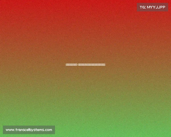 深圳中国格斗赛事-深圳中国格斗盛宴激情对决在鹏城巅峰之战