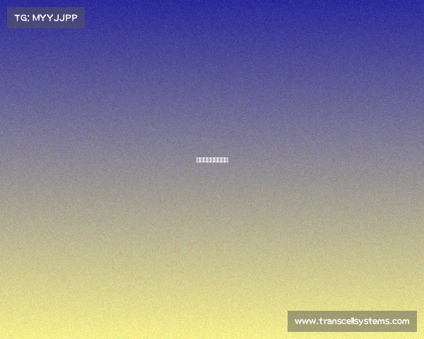 男篮亚锦赛直播时间