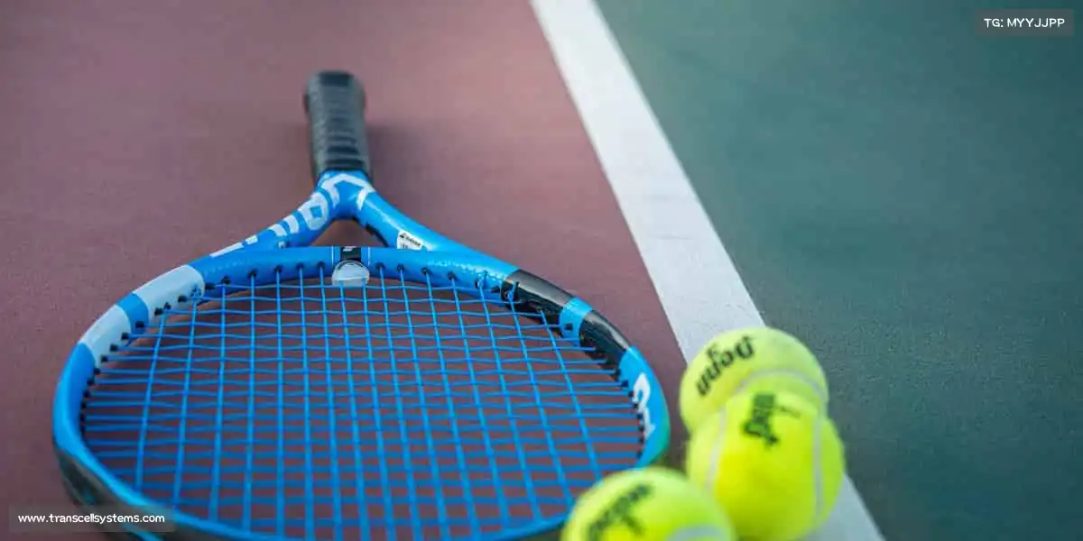 赢咖6——🏹🎯百步穿杨，精准致胜！